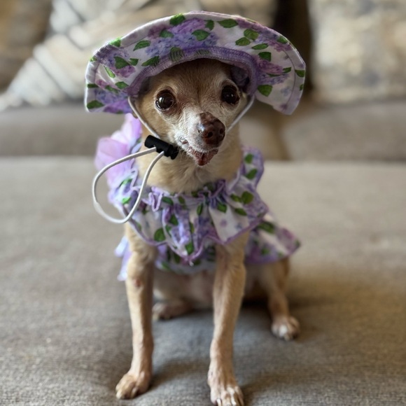 chicasocal